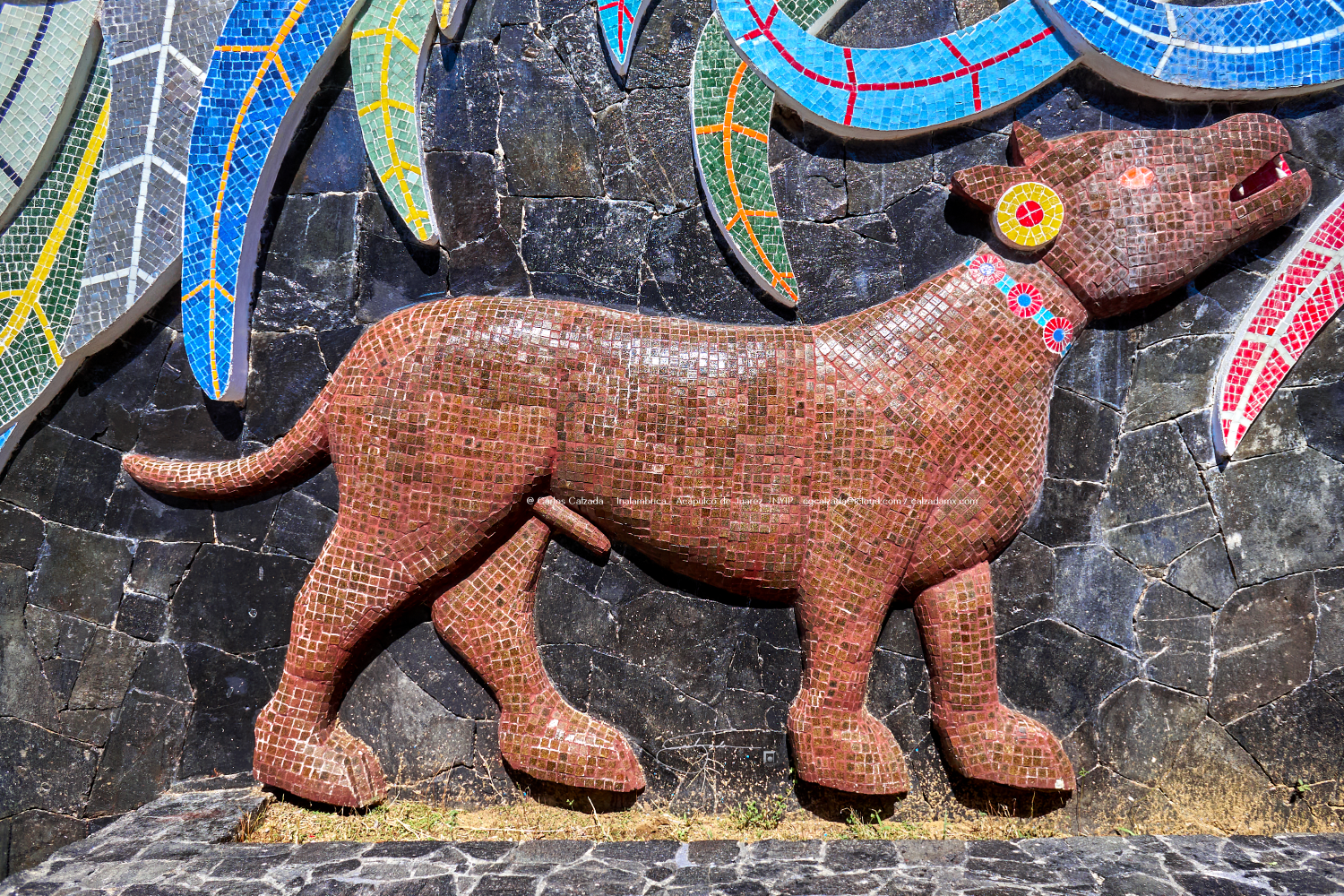 Diego Rivera - DSC02813 - ene 15 2025.png